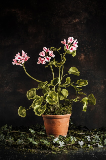 Charlotte Hepworth Auricula Wax Flower Day 15th October 2026 - Image 10