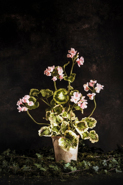 Charlotte Hepworth Auricula Wax Flower Day 15th October 2026 - Image 8