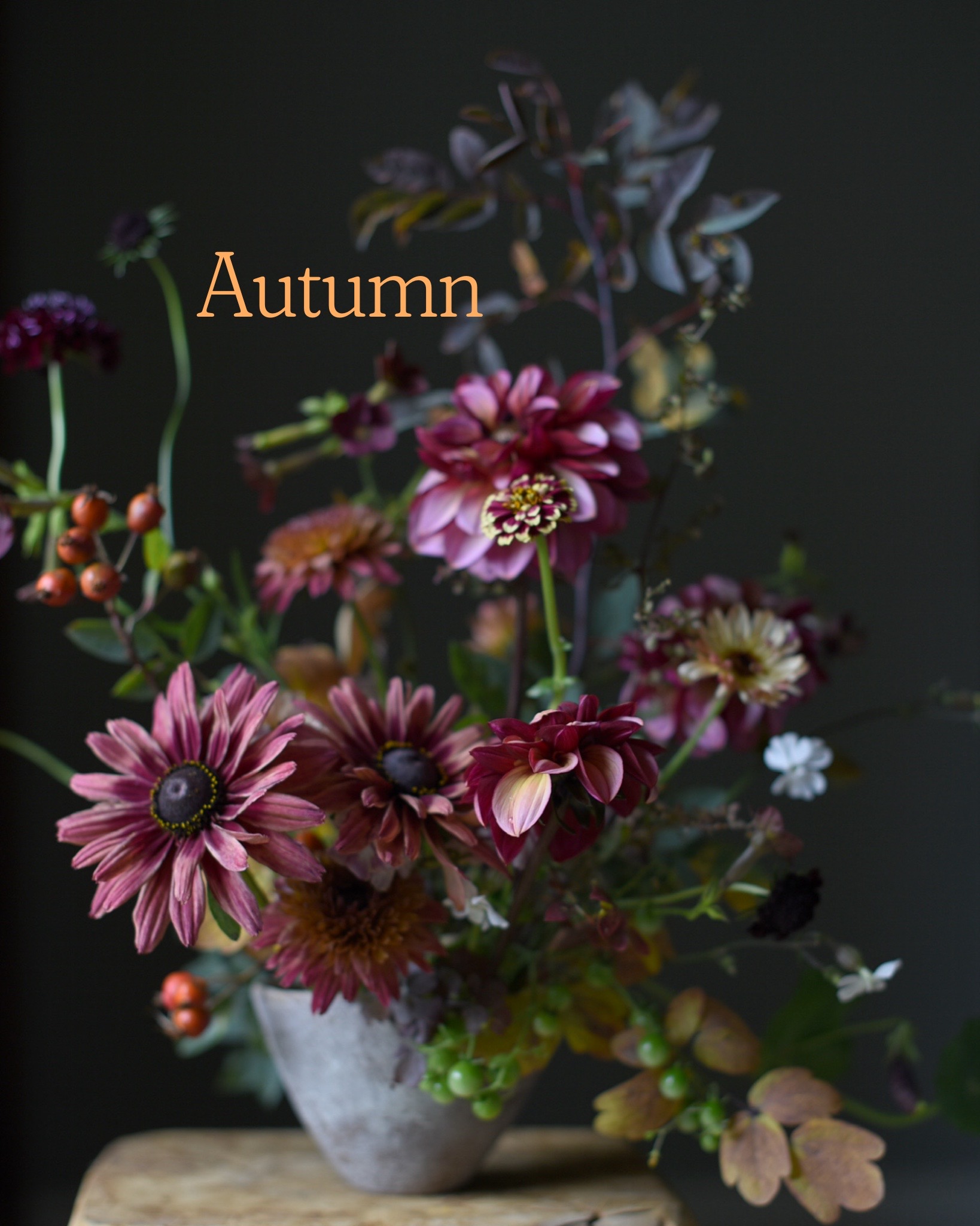 Sarah Statham of Simply by Arrangement "Autumn Gardens in a Bowl" 29th October 2026 - Image 4