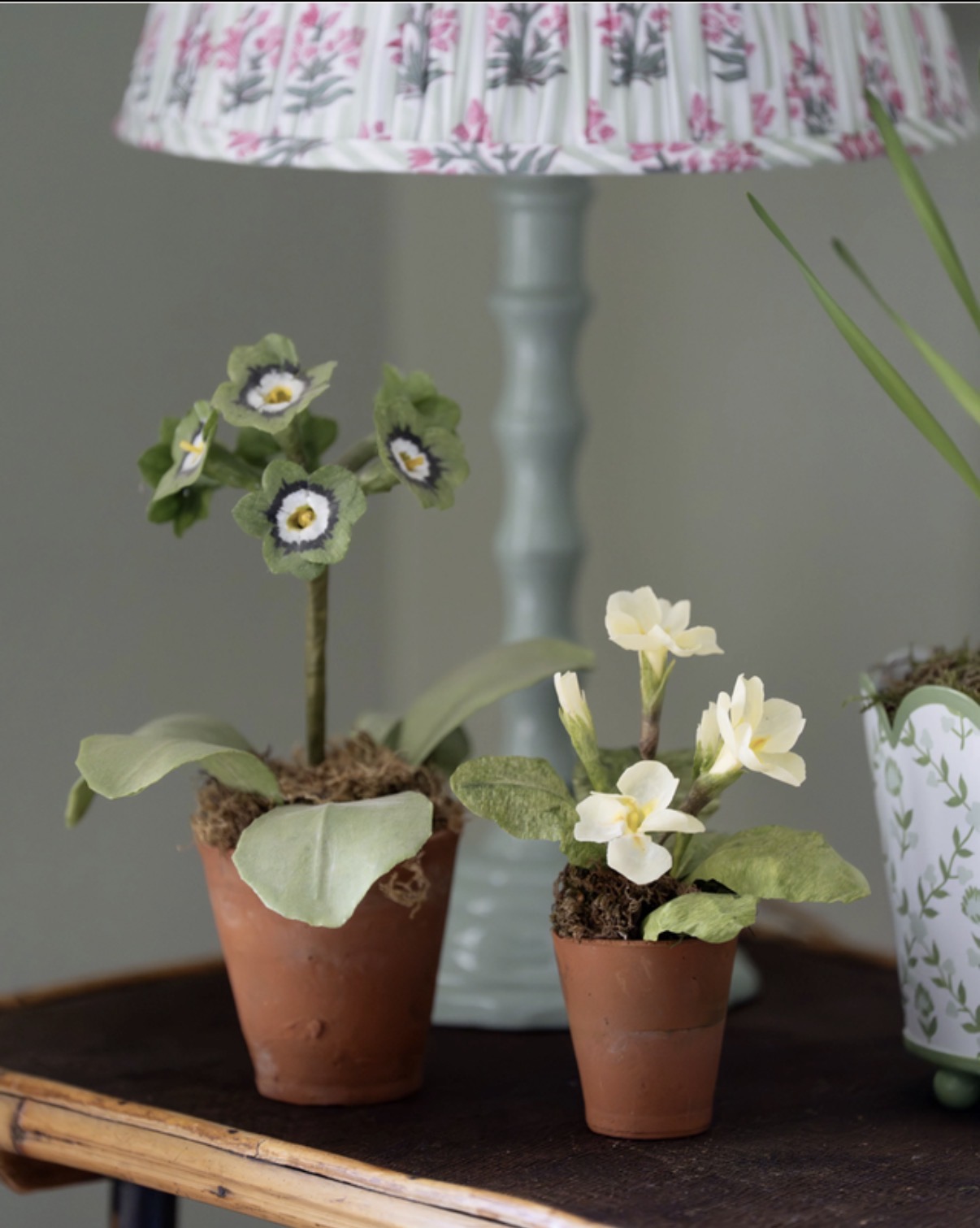 Charlotte Hepworth Auricula Wax Flower Day 15th October 2026 - Image 4