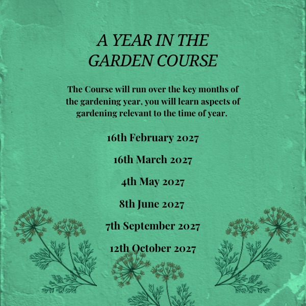 A YEAR IN THE GARDEN Gardening Course 2027 🌟NEW WORKSHOP🌟 - Image 3