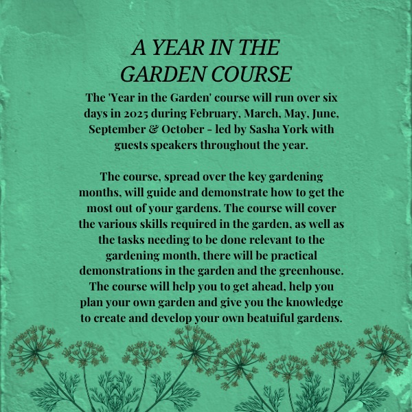 A YEAR IN THE GARDEN Gardening Course 2027 🌟NEW WORKSHOP🌟 - Image 4
