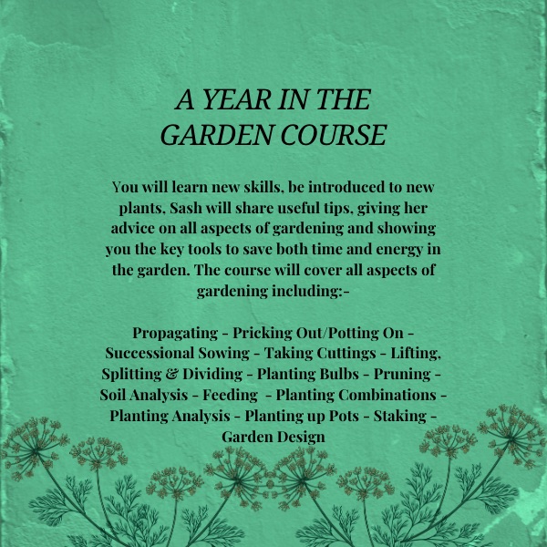 A YEAR IN THE GARDEN Gardening Course 2027 🌟NEW WORKSHOP🌟 - Image 5
