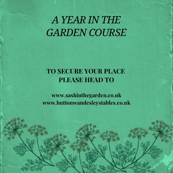 A YEAR IN THE GARDEN Gardening Course 2027 🌟NEW WORKSHOP🌟 - Image 7